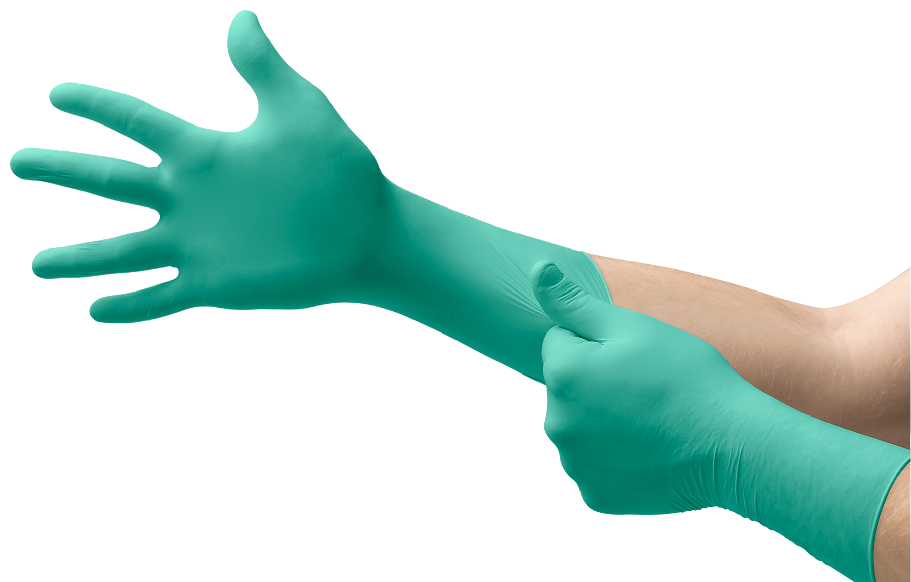 dermashield_73-711_glovestretch.jpeg
