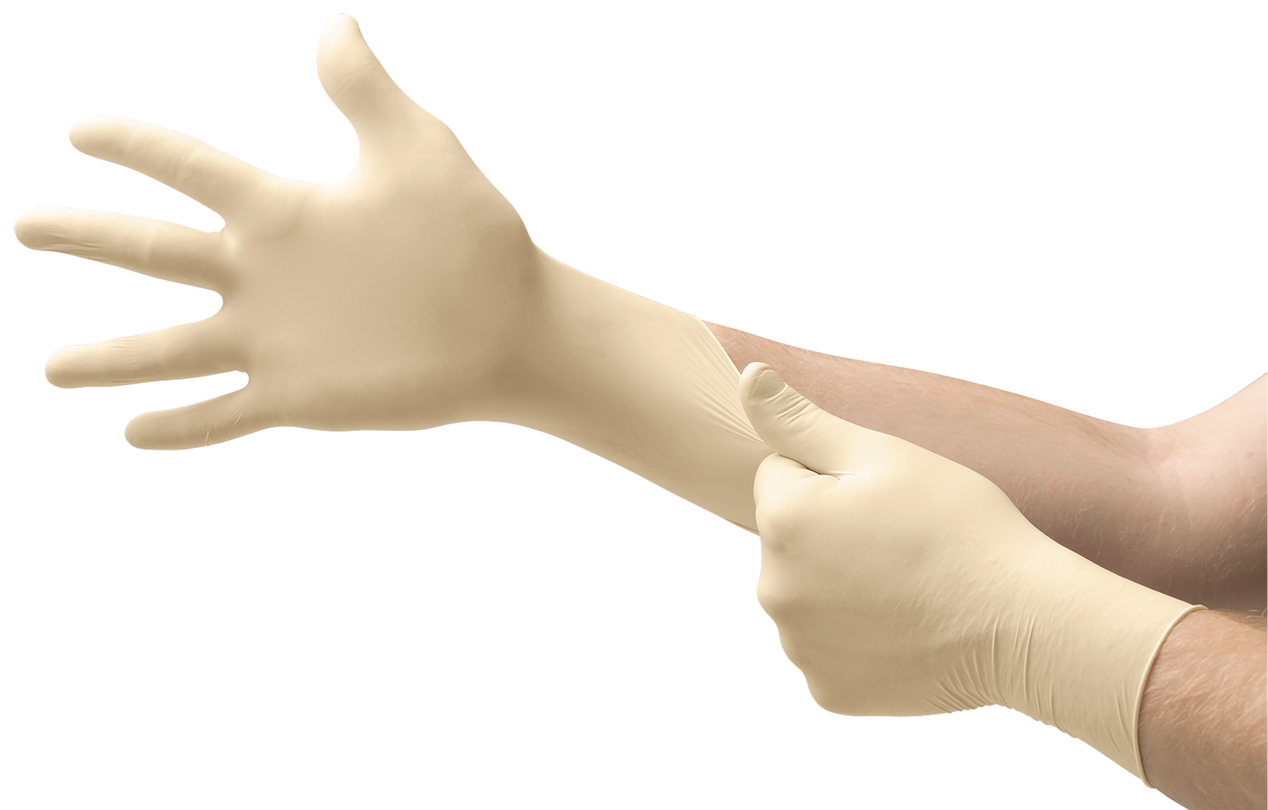 touchntuff_69-318_glovestretch.jpeg