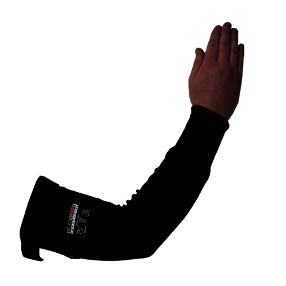 Image for BHID-SV218