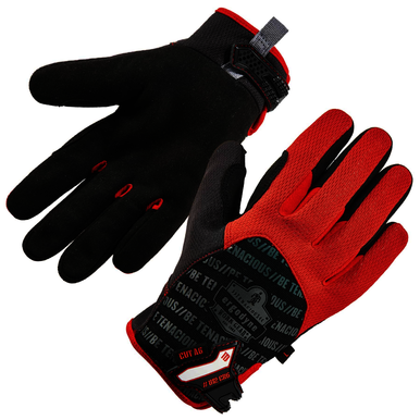 Image for ERGODY 17924