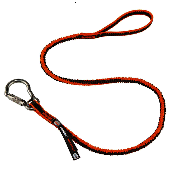 Image for ERGODY 19803