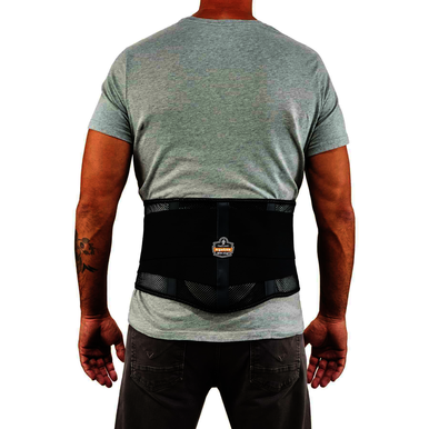 Image for ERGODY 20185