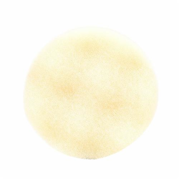 Image for 3M 05114120271