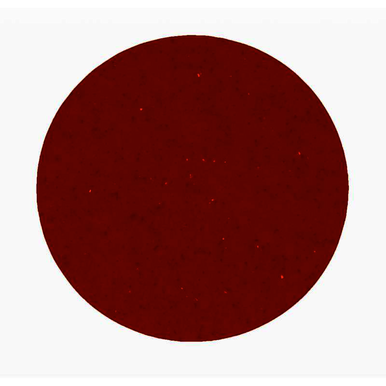 Image for 3M 7010361116