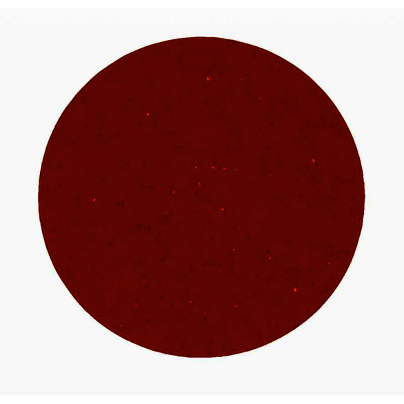 Image for 3M 7010361116