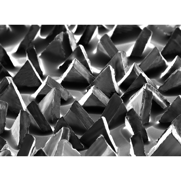 Image for 3M 7010512542