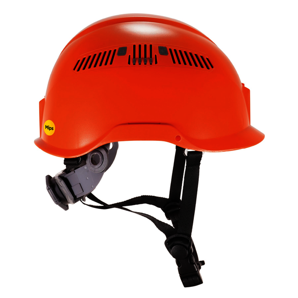 Image for ERGODY 60257