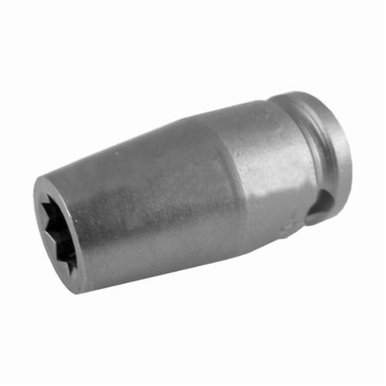 Apex 3609-D Drive Socket, Imperial, 9/32 in 12 Point Socket, 3/8 in Female Square Drive