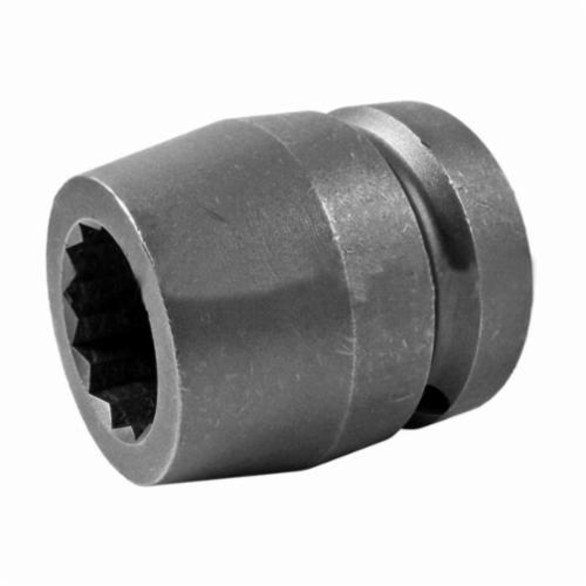 Apex 8132-D Standard Length Drive Socket, Imperial, 1 in 12 Point Socket, 1 in Female Square Drive