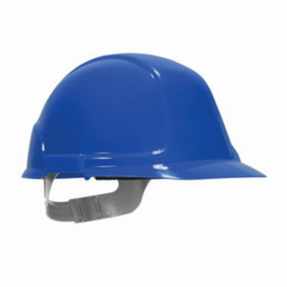 Image for PIP 250-21-0102