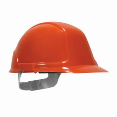 Image for PIP 250-21-0401