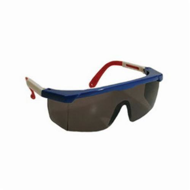 Image for PIP 250-24-0301