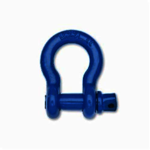 Image for CAMPBE T9640505