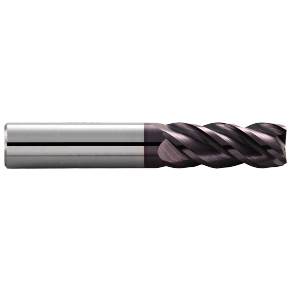 Image for GARR 61560