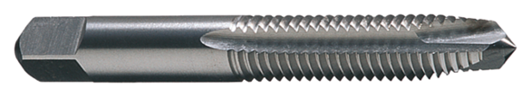 Image for CLEFOR C69204