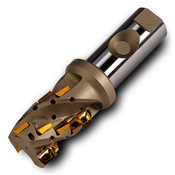 Image for INGCUT 2928851