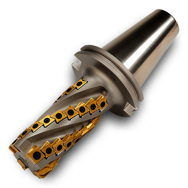 Image for INGCUT 2927400