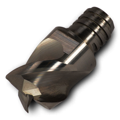 Image for INGCUT 5840417