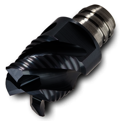 Image for INGCUT 5840201