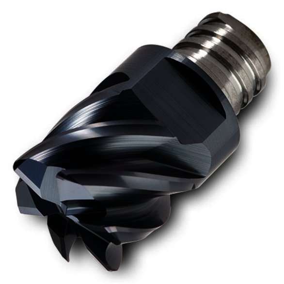 Image for INGCUT 5840214