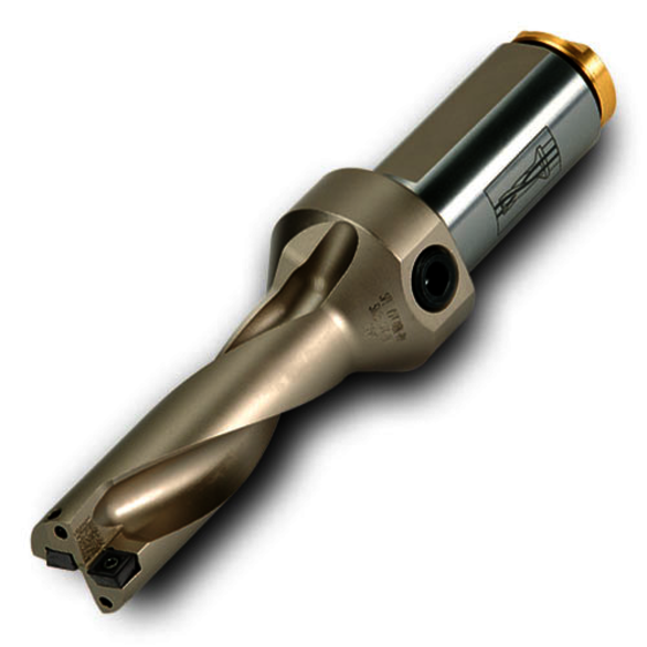 Image for INGCUT 6348167