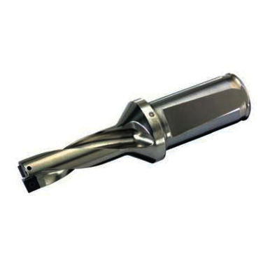 Image for INGCUT 3280478