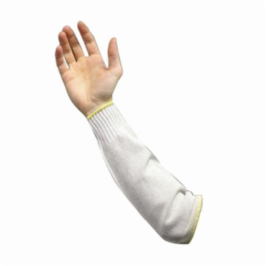 Image for PIP 25-612