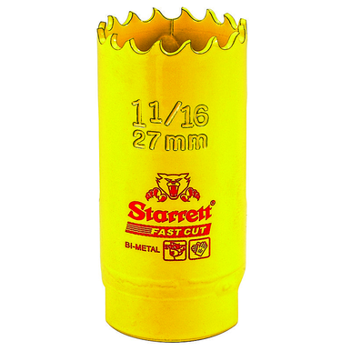 Image for LSSTAR 00489