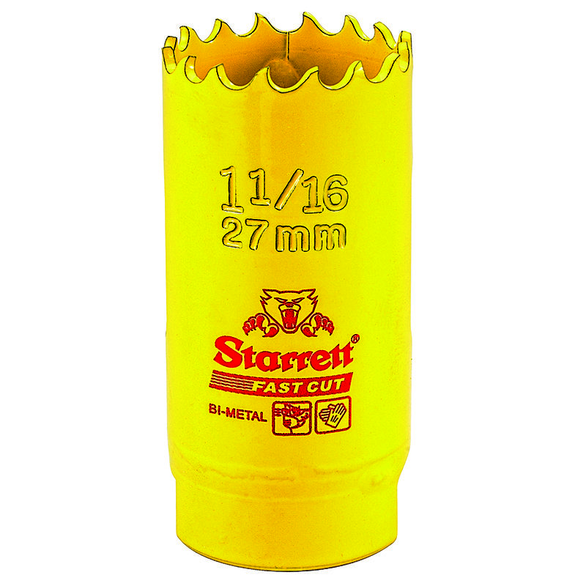 Image for LSSTAR 00489