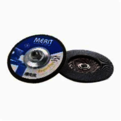 Image for MERIT 08834190217