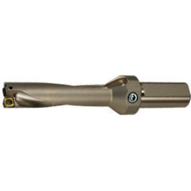 Image for MITMAT 679391