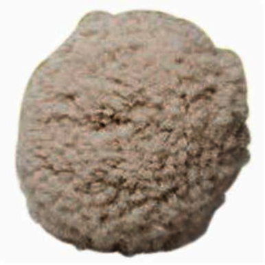 Image for NORTON 63642543832