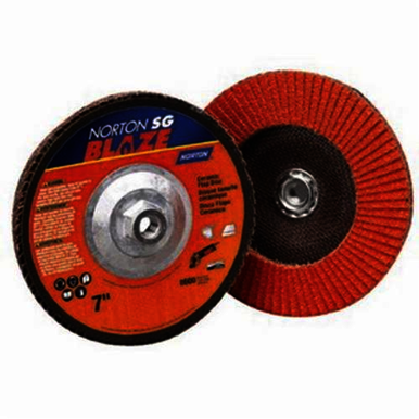 Image for NORTON 66260118300