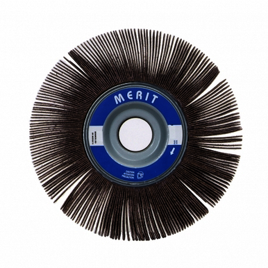 Image for MERIT 08834123038