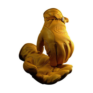 Image for PIP 1304-6