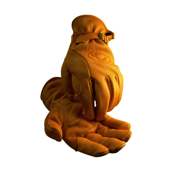 Image for PIP 1306-5