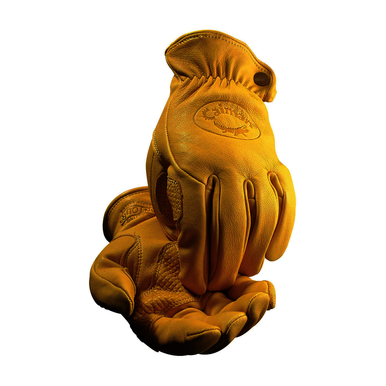Image for PIP 1324-6