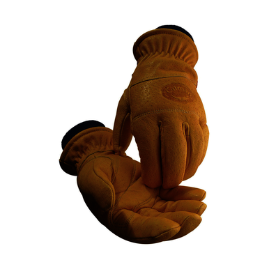 Image for PIP 1364-7