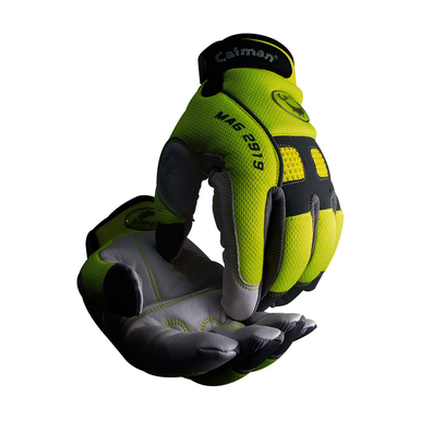 Image for PIP 2919-6