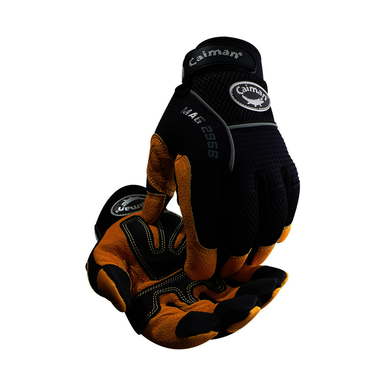 Image for PIP 2956-6