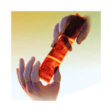 Image for PIP 2C-2X