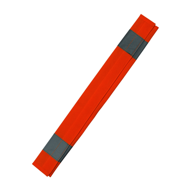 Image for PIP 300-SCOR