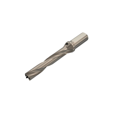 Image for SECO 02462843