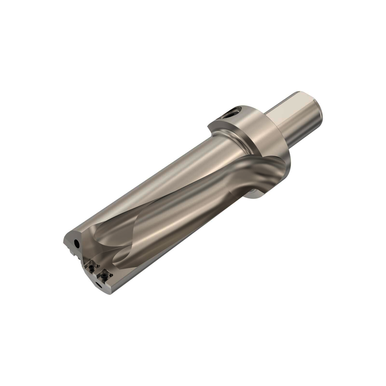 Image for SECO 02590456