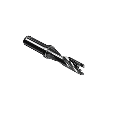 Image for SECO 02622899