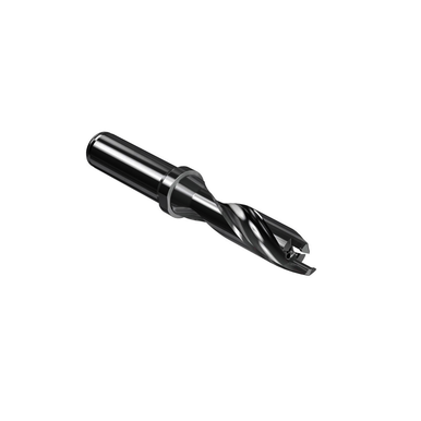Image for SECO 02623539
