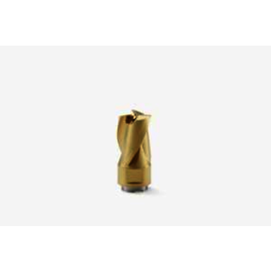 Image for SECO 02679425