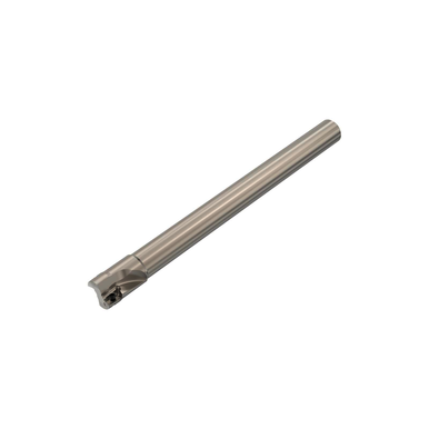 Image for SECO 02690738
