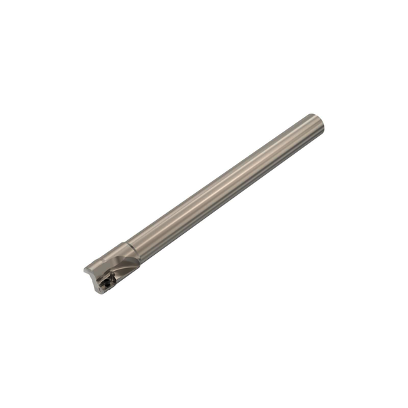 Image for SECO 02690738