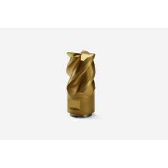 Image for SECO 02756544